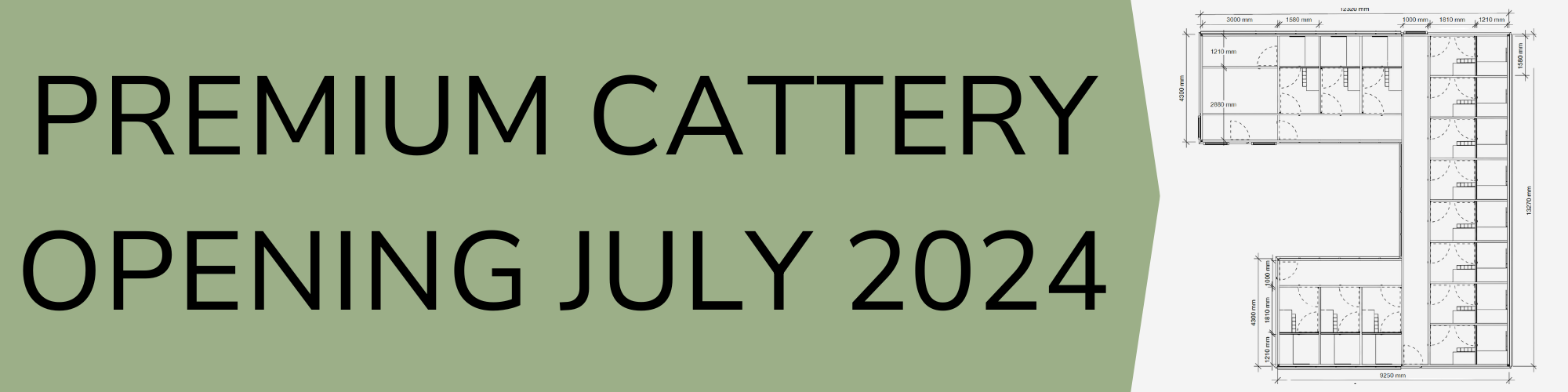 Premium Cattery opening in July!