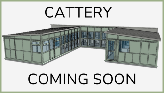 Big News - Cattery Coming Soon!