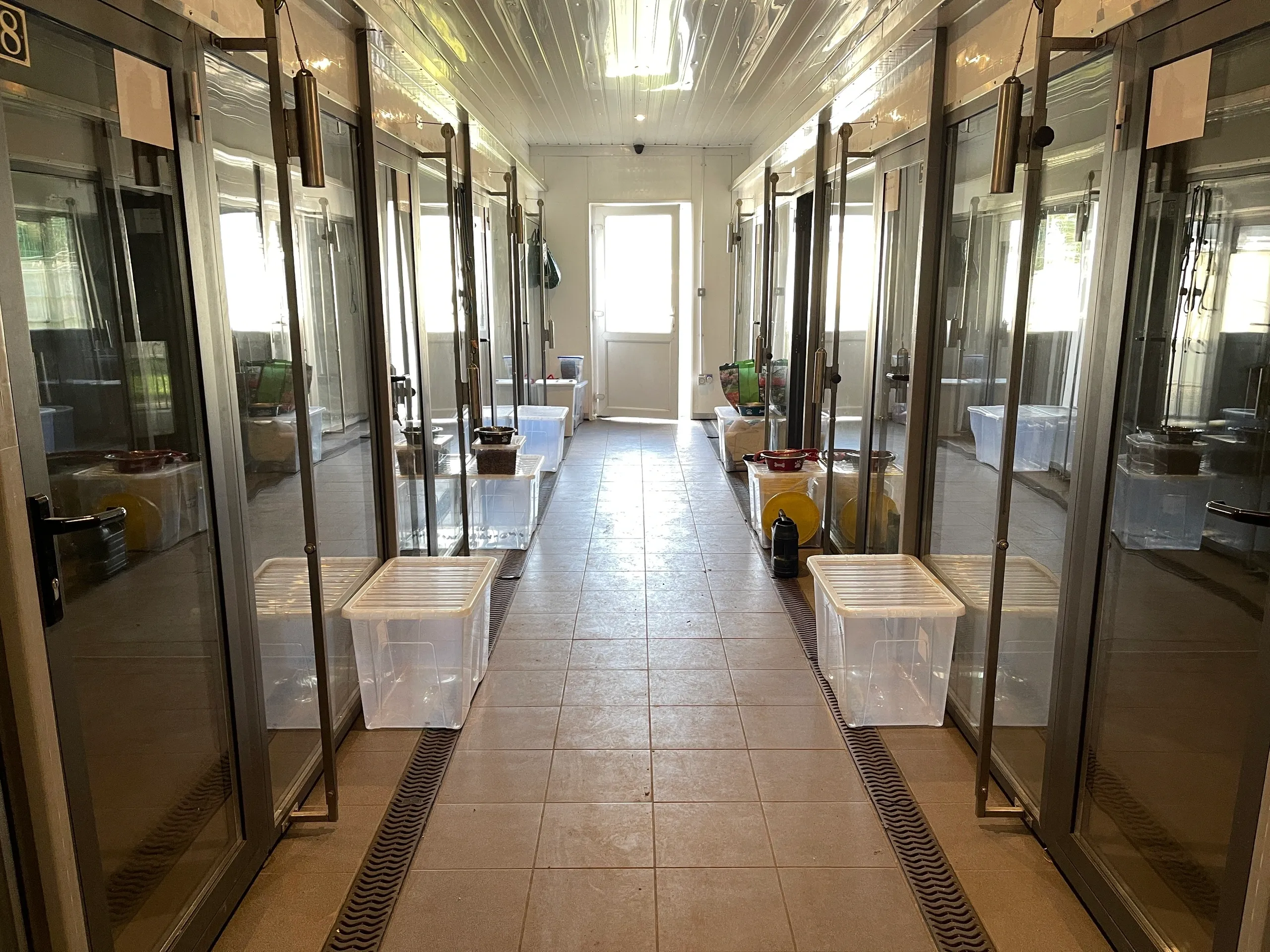 Facilities The Retreat Boarding Kennels & Cattery