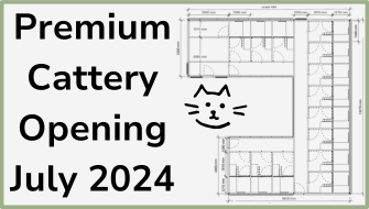 Premium Cattery opening in July!